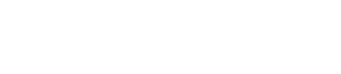 İş Ortağı 1